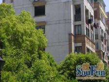 近地铁,无抵押,中间楼层,精装,必看好房