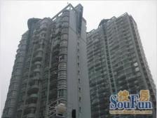 三线交汇9/12/4号近肇嘉浜路全明户型