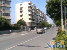 杨思地铁口+前滩电梯房+小区中间位置+全明户型+税费少