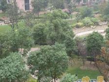 一梯两户,主卧朝南,交通便利,居家装修,钥匙房