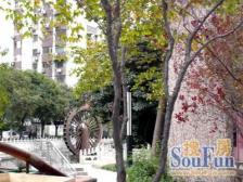 光新大楼 3室2厅 南