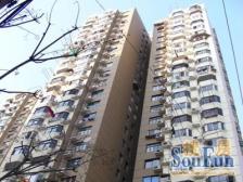 光新大楼3室南朝向565.00万元/套出售