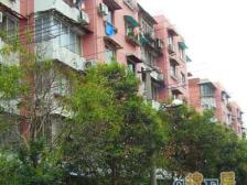 1314双轨交,中间楼层,双南两房,户型方正,位置采光佳