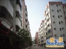 大润发旁 龙都花园 大2房2卫 房子保养好 业主急售