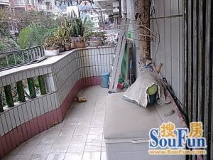 免费停车空间大中层业主自住简装看房方便