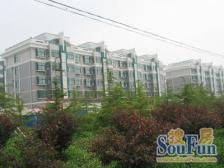 黄江地铁800米怡和花园,精装修,低楼层生活方便