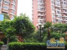 近地铁 电梯房 中间楼层,新上房源