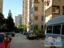 新上 电梯房 西部大楼 凤凰楼层 三室两厅两卫 位置好