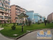 4楼复5楼,四阳台,四房朝南,楼上北露台