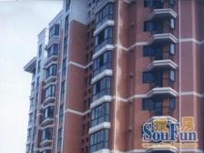 龙柏·龙柏三村-先锋公寓·2室·1厅