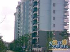 南北直通大三房 精装修两年 保养好 楼层好 采光足