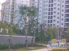 景观大两房 中间位置 三xin 百米楼间距 电梯房