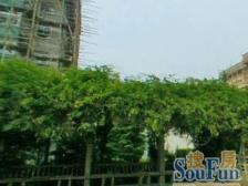 清水湾好位置带院子两房,私享田园生活