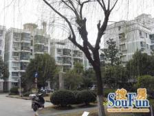 内环内中山公园附露台 低密社区 多层得房高 南北全明