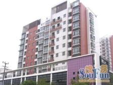 精装,电梯房 通风好 新上房源