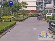 黄兴公园·安波路800弄·3室·2厅