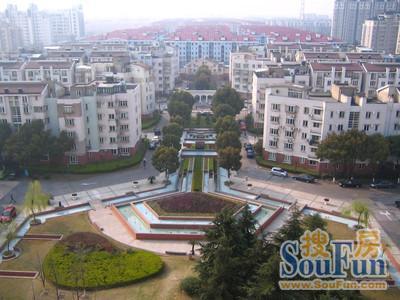 春申城四季苑实景图