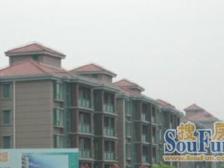 电梯洋房+带阁楼+户型房正南北通