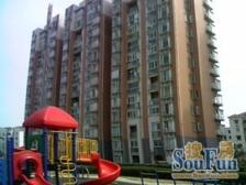 中城绿苑凤凰层+南北通两房+前后视野宽敞+有钥匙看房