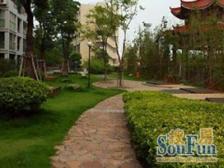 金纺苑,飞机户型大三房,位置好,楼层好