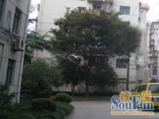 开鲁二村2室南朝向215.00万元/套出售