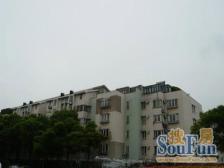 复式五房,送大露台,全明户型,白玉兰小区,双轨交