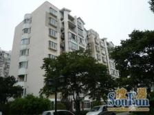 老人舒适楼层。欢迎品鉴。两南一北一西,四房。