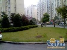 大开间,品质小区,环境优美,大两房