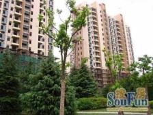 08年南北通全明三房!近渔人码头和18号线丹阳路站