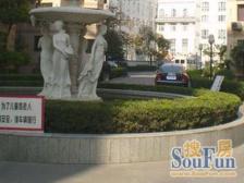 近地铁,电梯房 新上房源