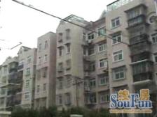 海桐苑 2室2厅 中心位置