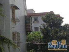 近地铁,无抵押 产权清晰 随时看房 新上房源