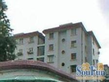 东陆新村四街坊1室南朝向175.00万元/套出售