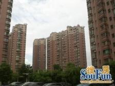 电梯大复式,赠四个露台+一个房间,使用面积很大