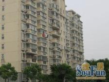 金桥·正旺苑·1室·1厅