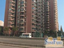 强生花苑 1室1厅 南