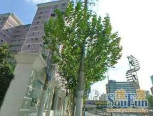 近地铁,采光好,精装,无抵押,必看好房