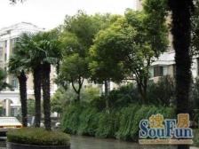 通河泗塘·岭南雅苑·2室·1厅