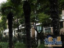 中间好楼层!业主诚意,采光视野佳!