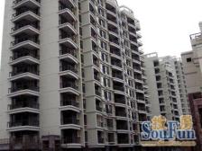 精装 采光好 满五,必看好房