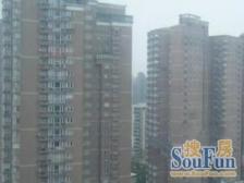 近地铁 无抵押,产权清晰 电梯房 新上房源