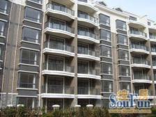 联排边套 出行方便 南北高架 精装修