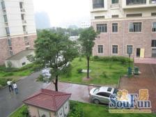 新上低价大三房,户型好,采光好,近地铁