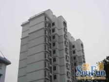 品质物业 精装,电梯房,现场实勘,必看好房