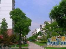 小三房带阁楼露台,位置视野好 业主诚意