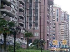 业主住楼上,诚意出售:婚房装修,拎包入住,所见即所得!