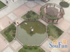 鹿特丹花园 2室2厅 南 北