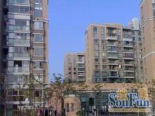 金桥·莱金佳园·1室·1厅