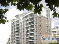 百万装修,顶楼复式,四房加阳光房加露天露台,诚意卖