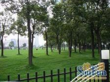 近地铁,产权清晰,无抵押,新上房源